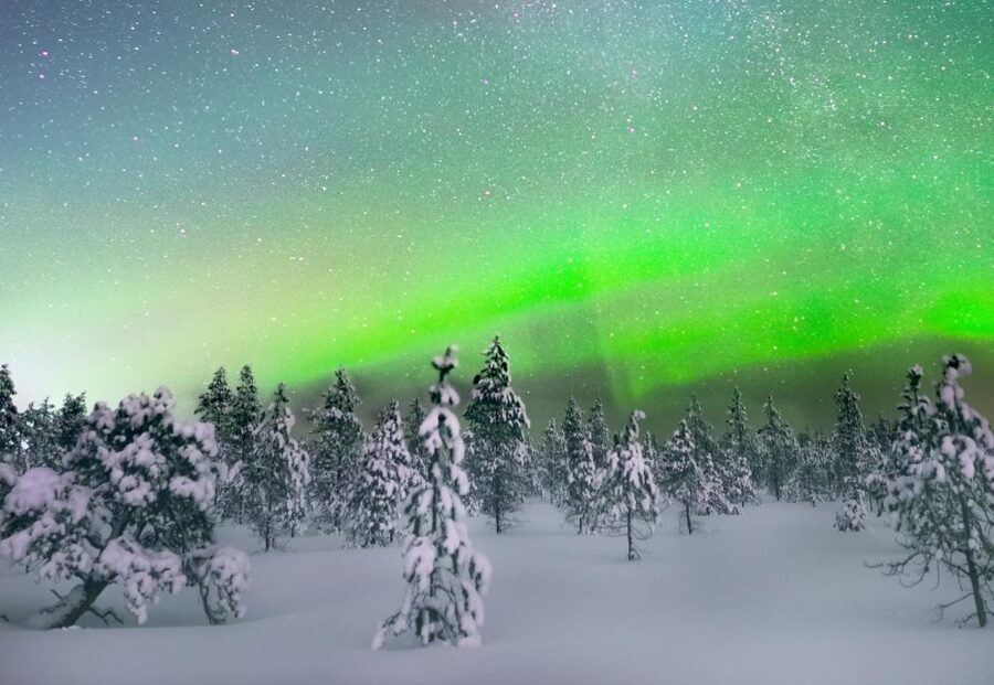 Levi: Northern Lights Snowmobile Tour with Snacks and Drinks - Should you book the Levi Northern Lights snowmobile tour?