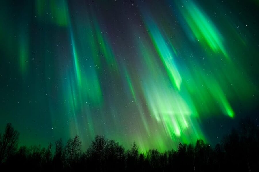 Levi: Northern Lights Tour with Guaranteed Sightings - Key points to know before booking