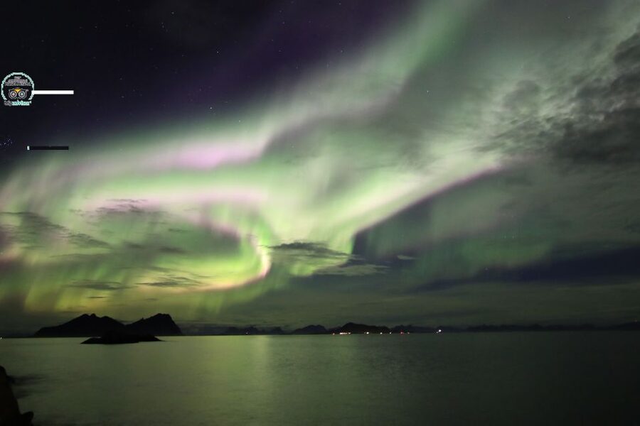 Lofoten: Northern Lights Tour with Photographer - What to bring for a better night