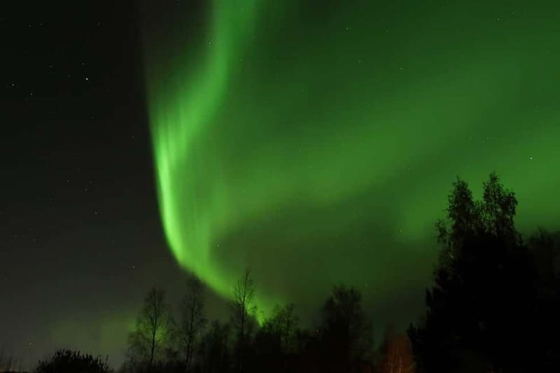 Luleå: Northern Lights Snowshoeing Tour - Key points to know before booking