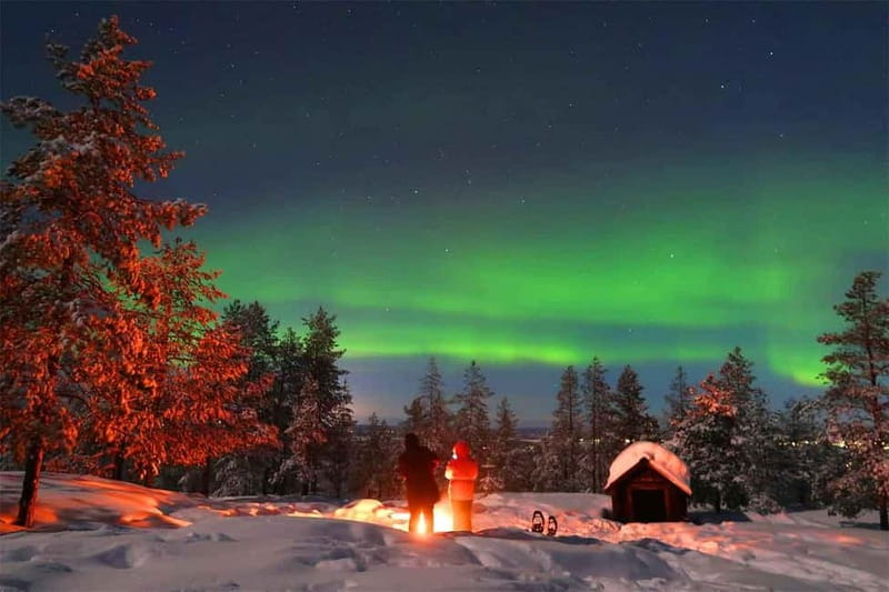 Luleå: Northern Lights Snowshoeing Tour - A quiet route into Luleå’s winter forest