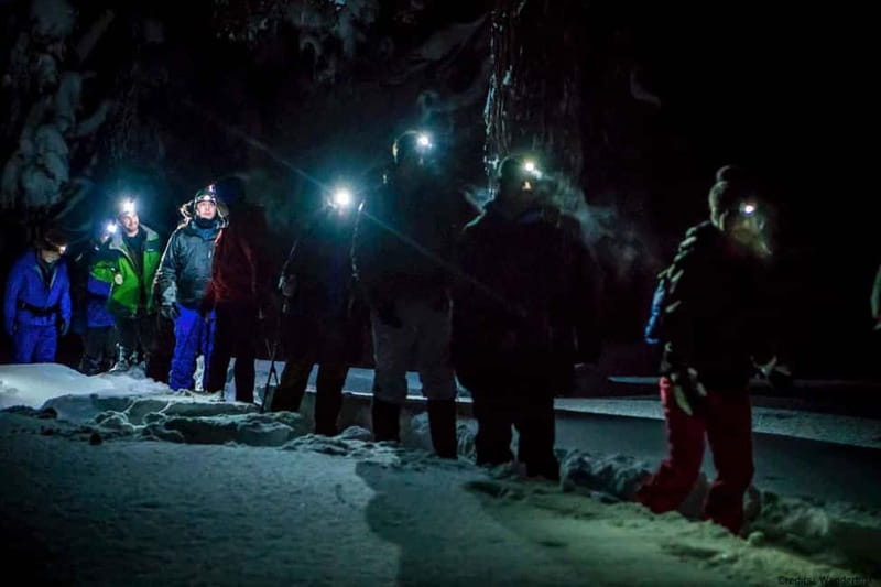 Luleå: Northern Lights Snowshoeing Tour - What the $142 price covers
