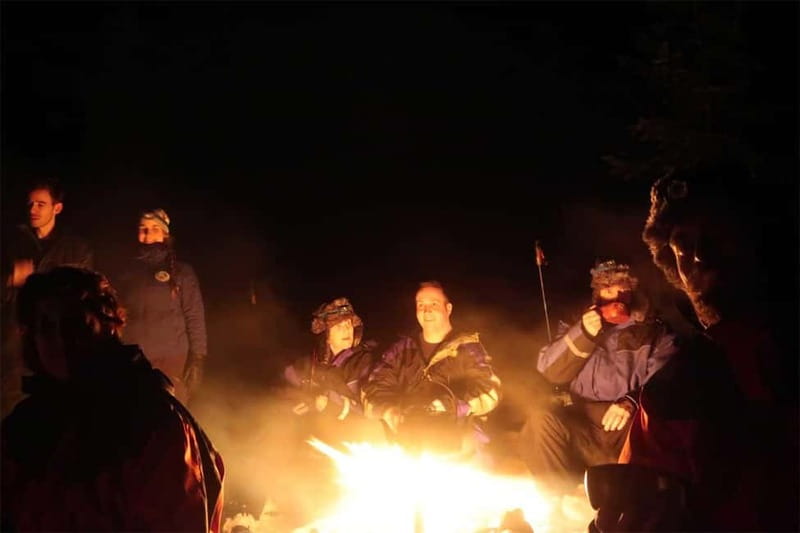 Luleå: Northern Lights Snowshoeing Tour - Who will enjoy this tour most