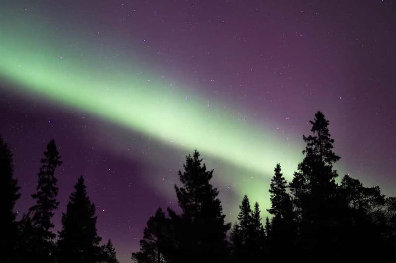 Luleå: Northern Lights Snowshoeing Tour - Snowshoes, headlamps, and a moderate winter walk