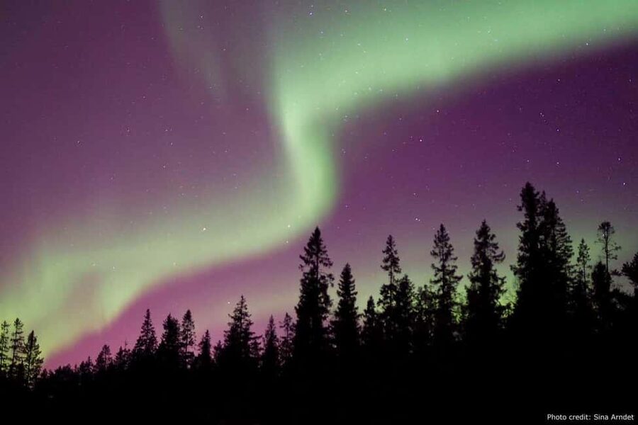 Luleå: Northern Lights Tour by Car with Swedish Treats - Chasing clear skies from Luleå