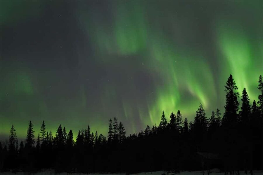 Luleå: Northern Lights Tour by Car with Swedish Treats - What the three-hour evening feels like
