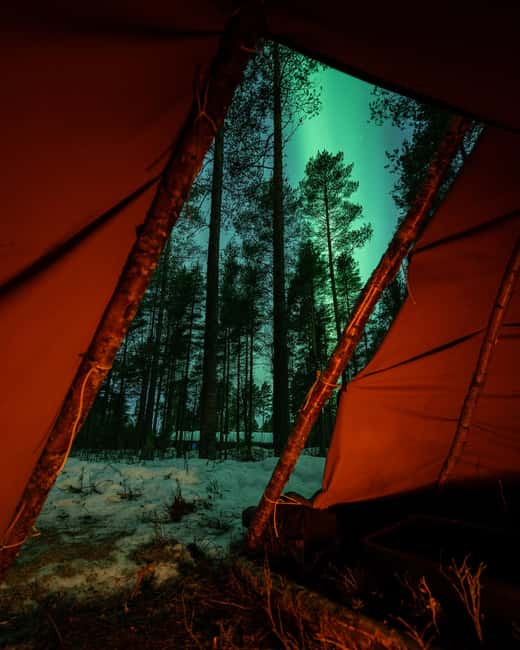 Luleå: Sami Culture, Reindeer, and Northern Lights Tour - Starting at First Camp Luleå