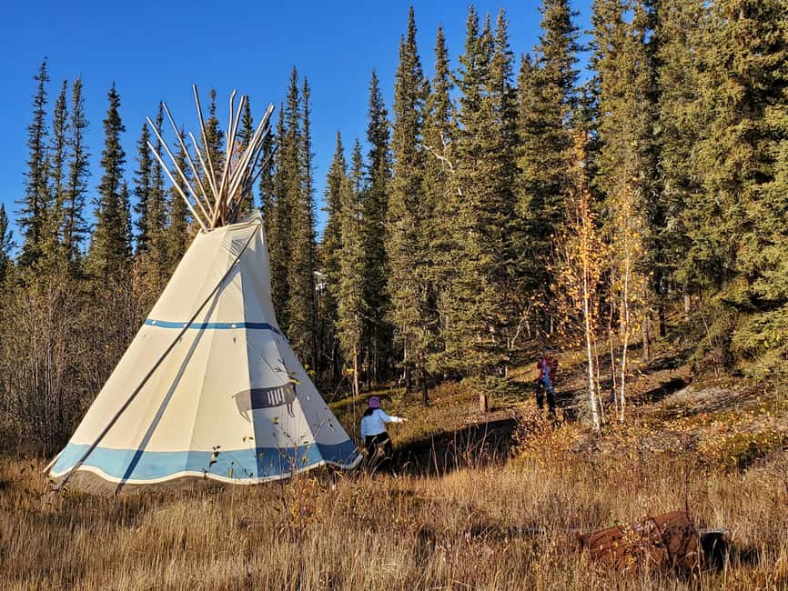 Madeline Lake: Aurora Lodge and Aurora Chasing Tour - Why the lodge changes the aurora experience