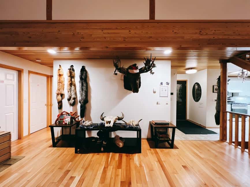 Madeline Lake: Aurora Lodge and Aurora Chasing Tour - Booking details worth knowing