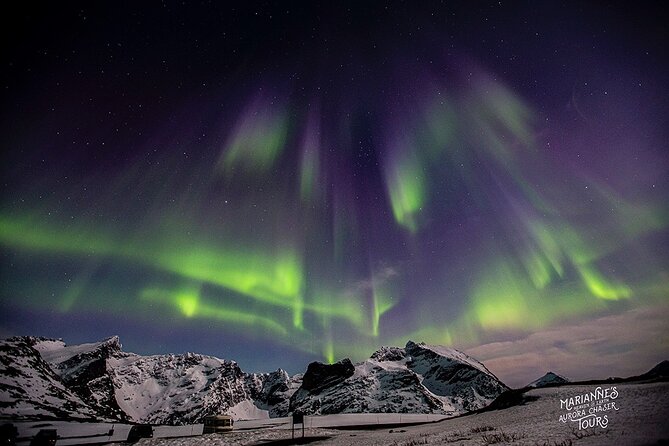 Marianne’s Heaven On Earth Aurora Chaser Tours - What the $291.52 price buys you