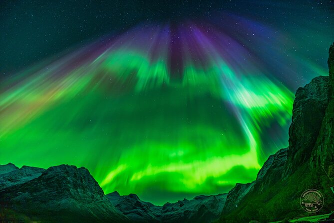 Minibus Northern Lights Chase with Photography from Tromsø - Campfire, soup, and Arctic comfort