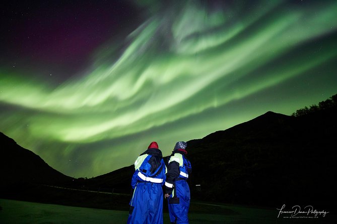 Minivan Northern Lights excursion (8 guests per minivan) - What the six-hour chase is really like