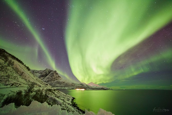 Minivan Northern Lights excursion (8 guests per minivan) - Hansnes and Sommarøy: scenic options when the sky cooperates