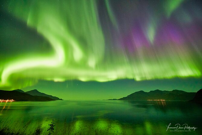 Minivan Northern Lights excursion (8 guests per minivan) - Skibotn, Pyhäouta, and Keinovuopio
