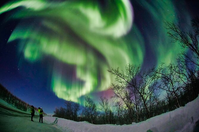 Minivan Northern Lights excursion (8 guests per minivan) - Warm suits, boots, and the practical side of standing in snow