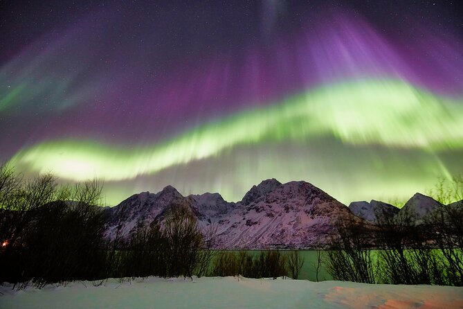 Minivan Northern Lights excursion (8 guests per minivan) - Photography help that adds real value