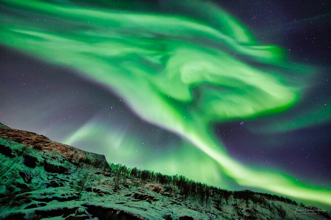 Minivan Northern Lights excursion (8 guests per minivan) - Small group benefits, and the limits of a minivan