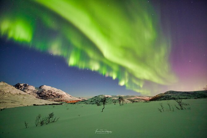Minivan Northern Lights excursion (8 guests per minivan) - Is $204.51 good value?