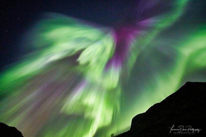 Minivan Northern Lights excursion (8 guests per minivan) - Tromsø, the starting point for the search
