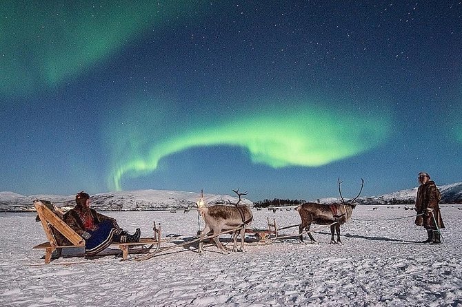 Night Reindeer Sledding with Camp Dinner and Chance of Northern Lights - Feeding reindeer near Tromsø