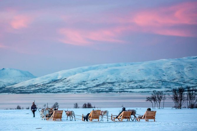 Night Reindeer Sledding with Camp Dinner and Chance of Northern Lights - Who will enjoy this evening most?