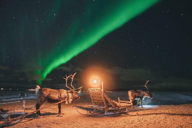 Night Reindeer Sledding with Camp Dinner and Chance of Northern Lights - Dinner inside the candlelit gamme