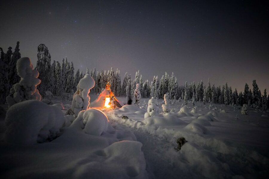 Night Snowshoeing Adventure under the Northern Lights - Should you book the night snowshoeing adventure?
