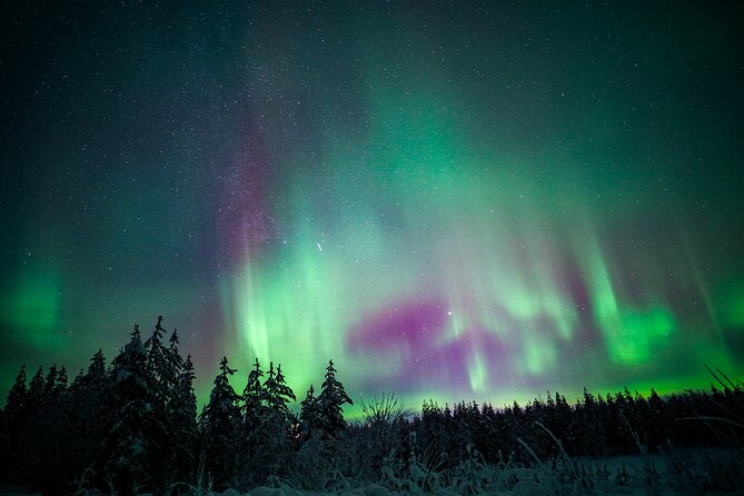 Night Snowshoeing Adventure under the Northern Lights - The Northern Lights are part of the plan, not the product