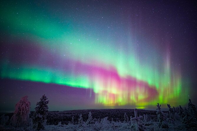 Night Snowshoeing Adventure under the Northern Lights - Is $123 a fair price?