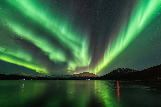 Northern Lights Adventure - A campfire dinner in the Arctic cold