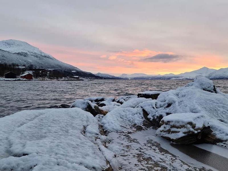 Northern Lights Adventure in Tromsø with Free Photos - Thermal suits and what to wear