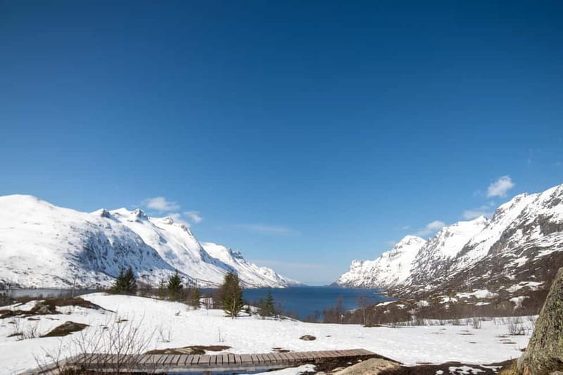Northern Lights Adventure in Tromsø with Free Photos - Complimentary photos, with a few limits