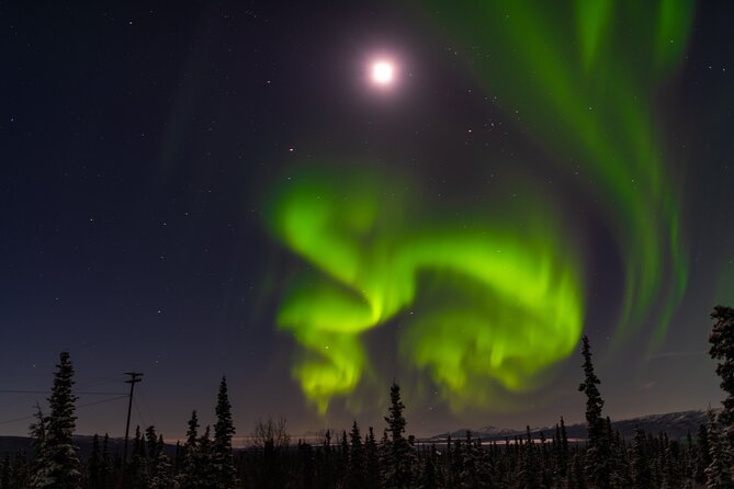 Northern Lights Adventure of a Liftetime from Anchorage - What the 8 p.m. departure really means