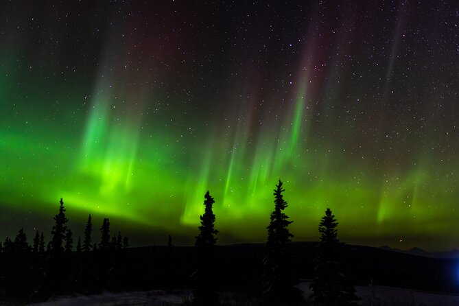 Northern Lights Adventure of a Liftetime from Anchorage - The cold-weather side of the adventure