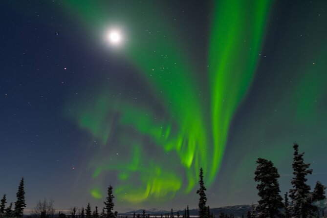 Northern Lights Adventure of a Liftetime from Anchorage - Who will get the most from this tour