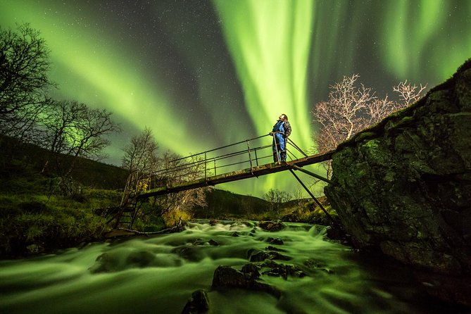 Northern Lights Adventure with Greenlander, 8 people max - Why the eight-person van changes the night