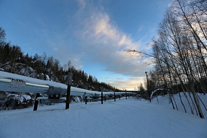 Northern Lights and Arctic Circle Trip from Fairbanks - The Dalton Highway is part of the deal