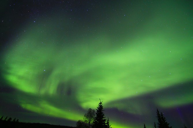 Northern Lights and Arctic Circle Trip from Fairbanks - Food, warmth, and hotel pickup make the logistics easier