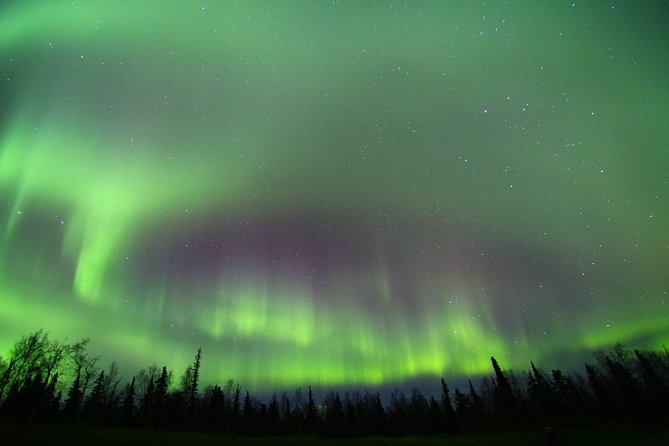 Northern Lights and Arctic Circle Trip from Fairbanks - Is the $320 price fair?
