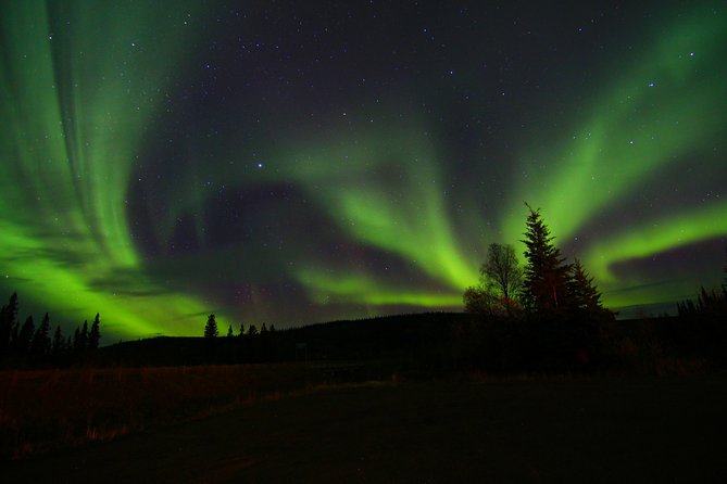 Northern Lights and Chena Hot Springs Night Tour from Fairbanks - Does the $240 price make sense?