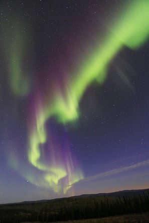 Northern Lights and Chena Hot Springs Night Tour from Fairbanks - Who will enjoy this night most?