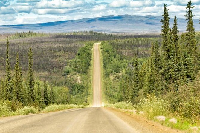 Northern Lights & Arctic Circle Tour - Key points to know before booking