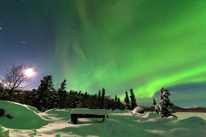 Northern Lights & Arctic Circle Tour - Leaving Fairbanks at 2:00 p.m.