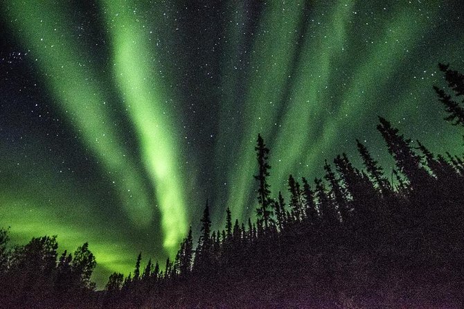 Northern Lights & Arctic Circle Tour - Hilltop pie, souvenirs, and the Dalton Highway sign