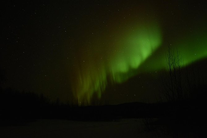 Northern Lights & Arctic Circle Tour - Chasing the northern lights after dark