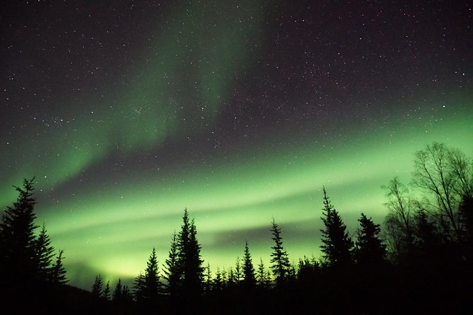 Northern Lights & Arctic Circle Tour - The real cost of the 14-hour day