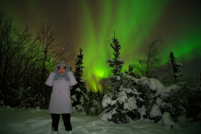 Northern Lights Aurora Tour with FREE Photography - A small group with a family-run feel