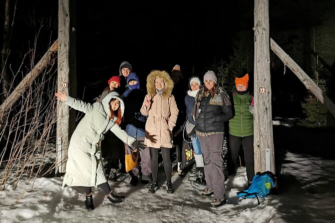 Northern Lights Auroras from Kemi-Tornio with Pickup - Who will enjoy this tour most