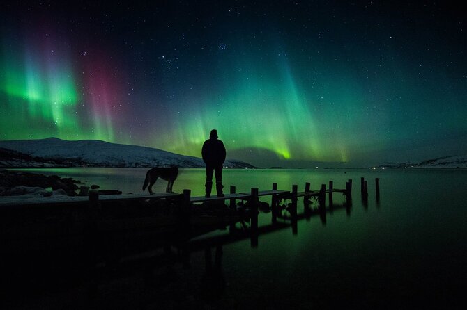 Northern Lights Big Bus Chase with Free Photos - The free photography service