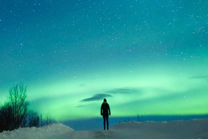 Northern Lights Bus Tour from Reykjavik with Hot Chocolate - Hot chocolate, fires, and the cold
